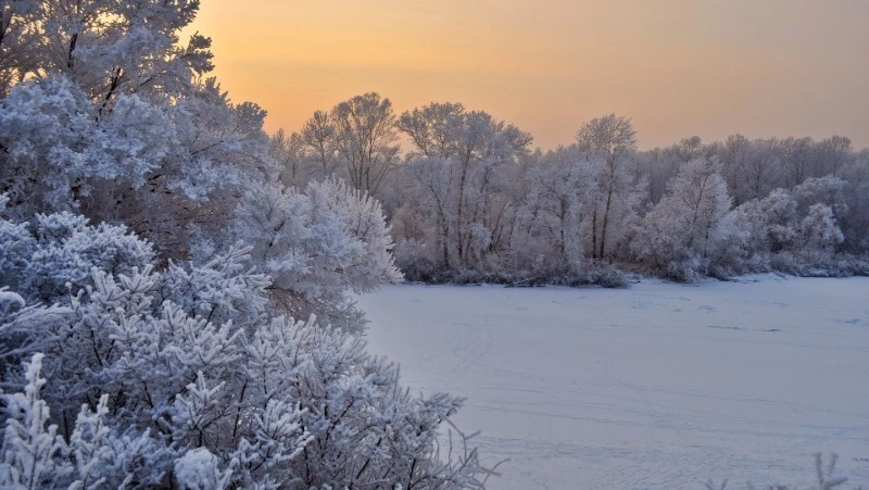 Снег и мороз ожидаются в Сахалинской области 31 января