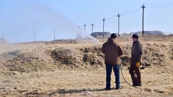 Сотрудники заповедника «Курильский» готовятся к пожароопасному сезону