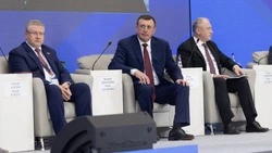 Роль Сахалина в энергетической архитектуре обсудили на Дальневосточном энергетическом форуме