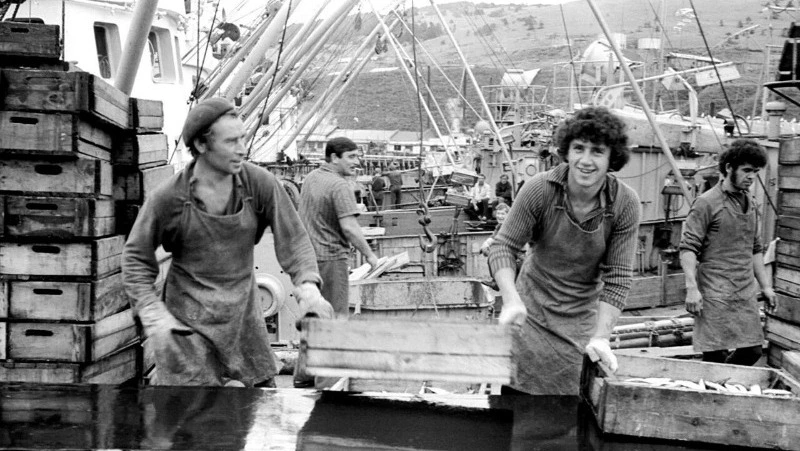 О рыбопромышленных предприятиях Южных Курил