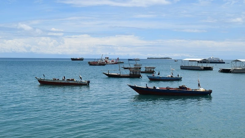 Южнокурильские рыбаки в 2019 году смогут выловить 90 тысяч тонн сардины