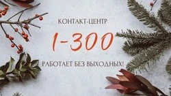 С начала года в службе 1-300 обработано почти 2 миллиона звонков