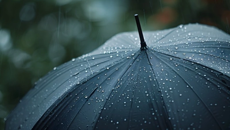 Сильный дождь и туман: прогноз погоды в Сахалинской области на 9 августа