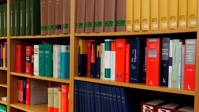 День библиотекаря 2024: история, традиции, красивые картинки