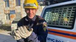 День спасателя 2024: когда отмечают, традиции праздника