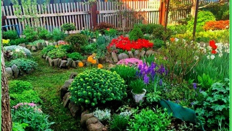 «Мой сад» на Кунашире: Живой музей с более чем 125 видами растений