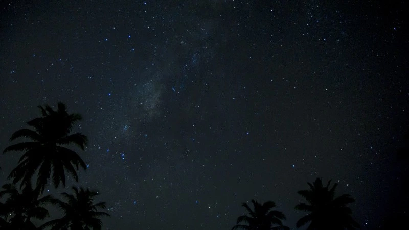 Гороскоп на 19 марта 2024 года: важные рекомендации астрологов