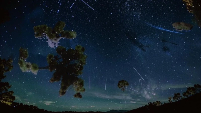 Гороскоп на 9 мая 2024 года: важные рекомендации астрологов