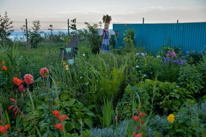 140 дворов планируют отремонтировать на Сахалине и Курилах в 2025 году