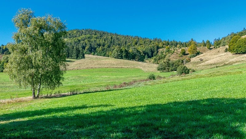 Церковный праздник 31 августа 2023: что нельзя делать в этот день