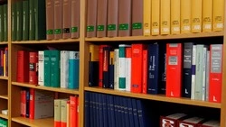 День библиотекаря 2024: история, традиции, красивые картинки