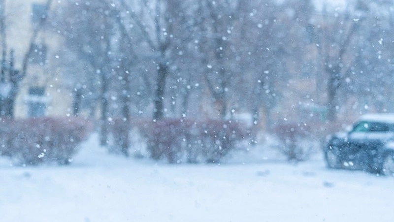 Циклон принесет сильный снег и ветер на Сахалин и Курилы 12 января
