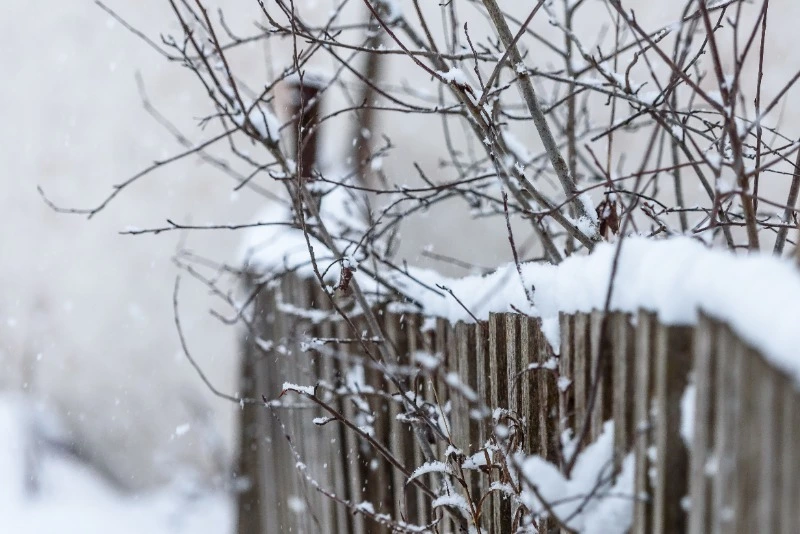 Циклон принесет снег и сильный ветер в Сахалинскую область на предстоящей неделе