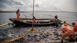 Распределены ресурсы на добычу корюшки и гольца на Сахалине и Курилах