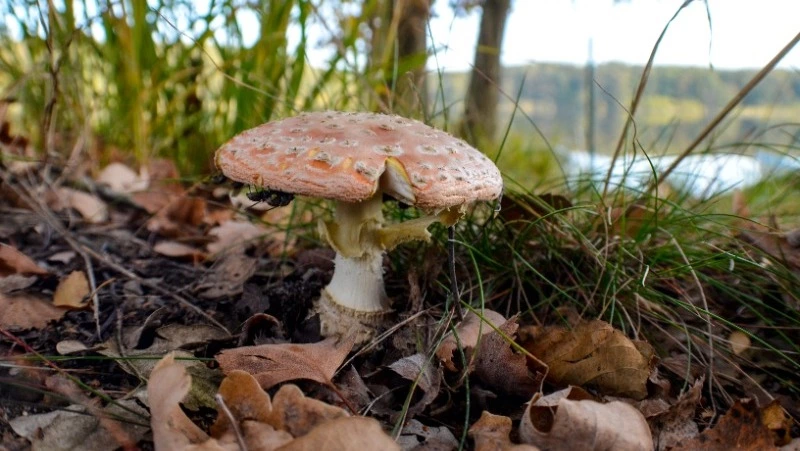 Народные приметы на 7 сентября 2024: что нельзя делать в этот день