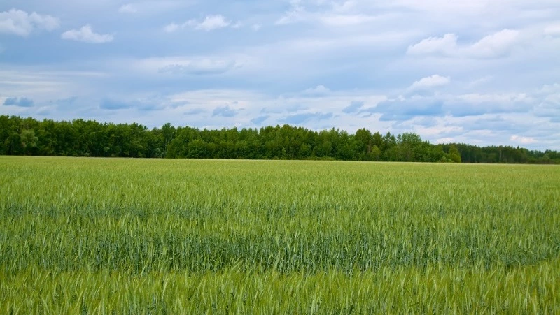 Церковный праздник 4 сентября 2023: что нельзя делать в этот день