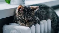 Готовимся к отопительному сезону