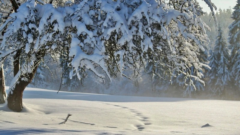 Церковный праздник 9 декабря 2023 года: что нельзя делать в этот день