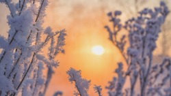 Небольшой снег и свежий ветер: погода на Сахалине и Курилах 25 февраля