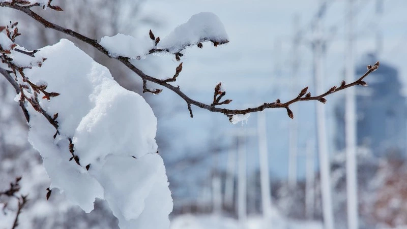 Народные приметы на 25 ноября 2024: что нельзя делать в этот день