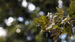 Прогноз погоды в Сахалинской области на 18 октября