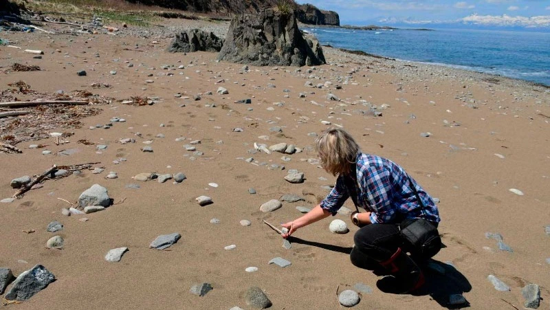 Результаты научно-технической работы заповедника за 2023 год