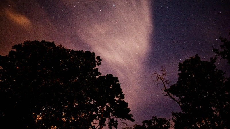 Гороскоп на 22 мая 2024 года: важные рекомендации астрологов