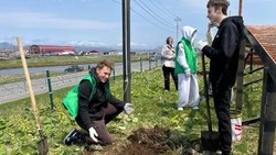 «Сад памяти» высаживают в Центре образования