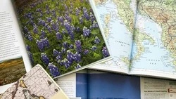 Сможете ли вы набрать 7/7? Тест, который разделит туристов и географов