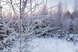 Морозы и снегопад накроют Сахалинскую область 12 декабря