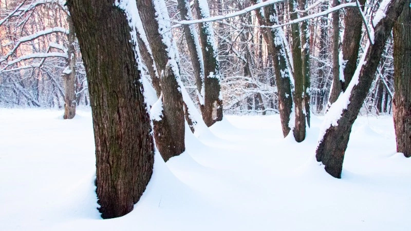Церковный праздник 30 января 2024 года: что можно и нельзя делать в этот день