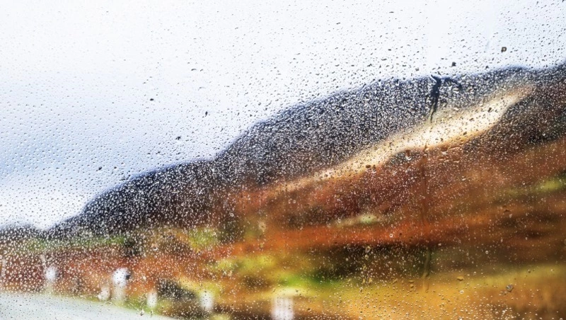 Туман и небольшие осадки ожидаются в Сахалинской области 15 августа