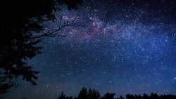 Гороскоп на неделю с 11 по 17 ноября 2024: что приготовили звезды 