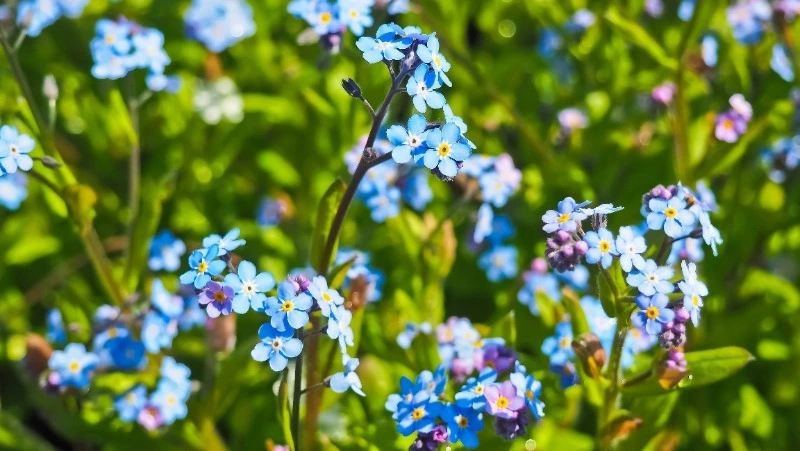 Народные приметы на 3 июня: что нельзя делать в этот день