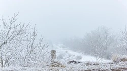 Сильный мороз и метель: прогноз погоды в Сахалинской области на 14 февраля