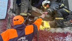 Сегодня отмечается День спасателя Российской Федерации