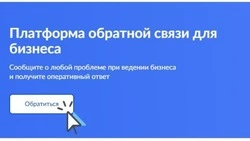Платформа обратной связи для бизнеса (ПОС.Бизнес)