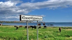 Приглашаем на встречу с руководителями района 