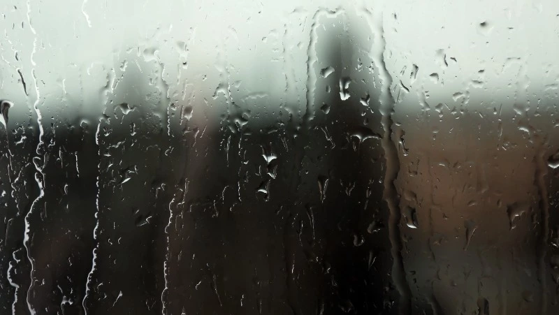 Прогноз погоды в Сахалинской области на 5 сентября