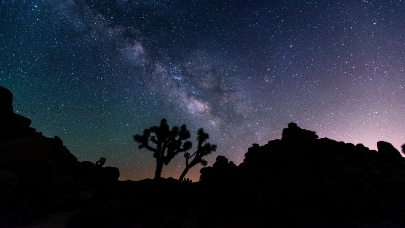 Овны блеснут идеей, а Скорпионы вовремя закроют двери