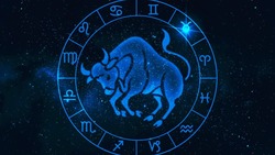 Гороскоп для Тельцов на 2025 год: карьерный взлет, гармония и уверенность