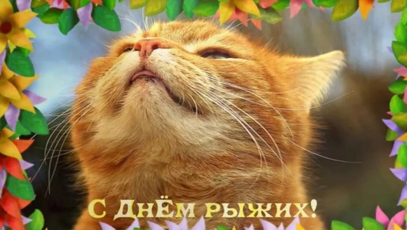 Красивые и прикольные картинки на День рыжих 2024
