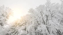Сильные морозы и снег ожидаются в Сахалинской области 13 декабря