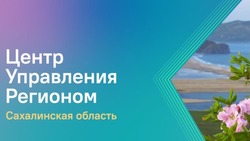 В Сахалинской области реализуют образовательный проект  «Цифровая культура обратной связи»
