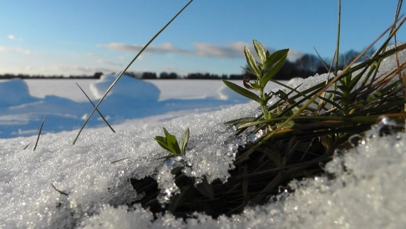 Церковный праздник 25 ноября 2023 года: что нельзя делать в этот день