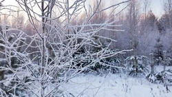 Народные приметы на 5 декабря 2024: что нельзя делать в этот день