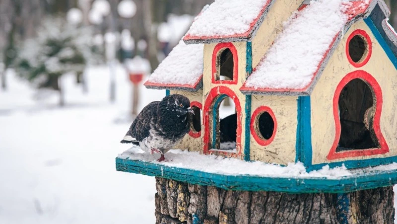 Народные приметы на 3 декабря 2024: что нельзя делать в этот день