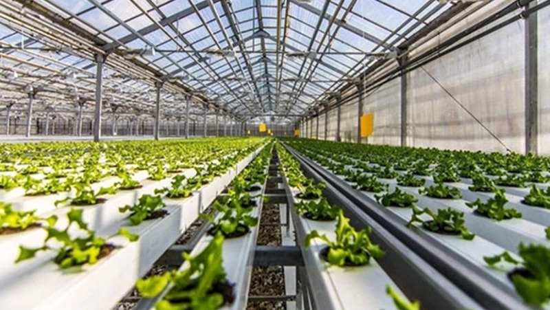 Информация для потенциальных инвесторов!