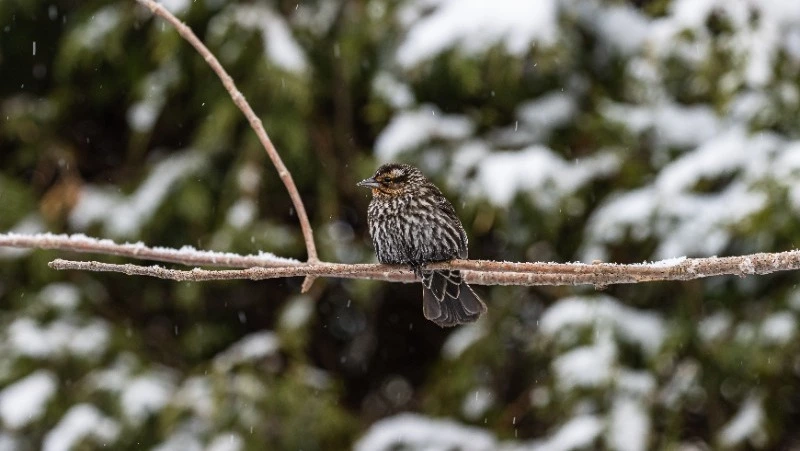 Народные приметы на 15 февраля 2024: что нельзя делать в этот день