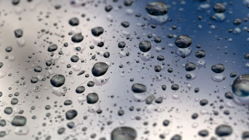 Погода в Сахалинской области 17 мая: умеренный дождь и +20 градусов